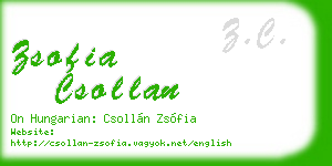 zsofia csollan business card